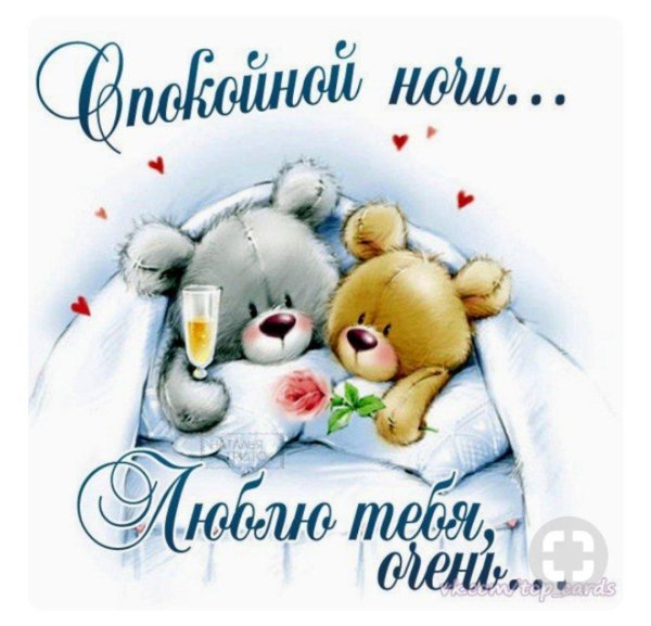 медвежонок спокойной ночи