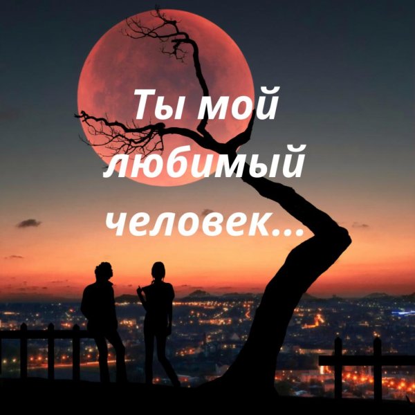 мой любимый человек