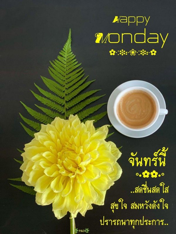 георгина флудлайт