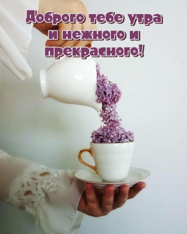 нежного утра