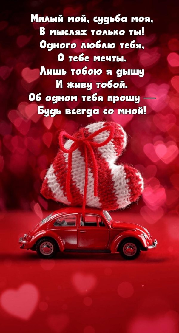 люблю тебя одного