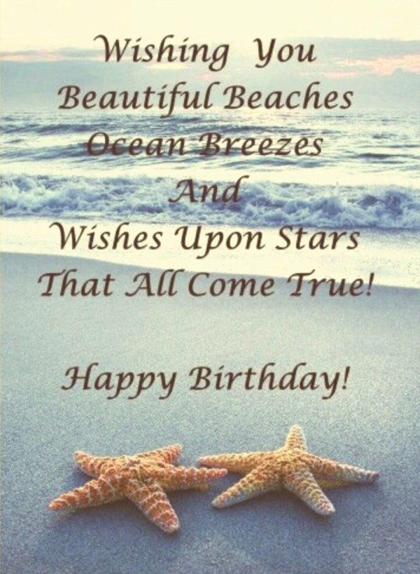 морская звезда