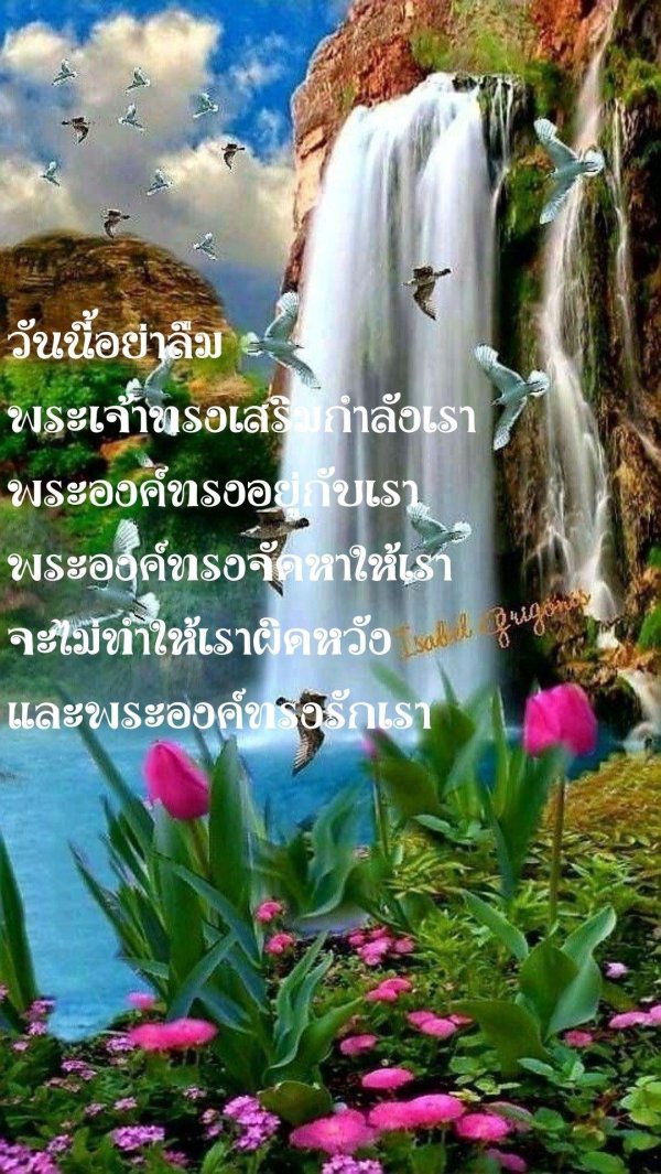 природа красивая