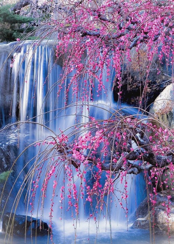 японские водопады каскасу