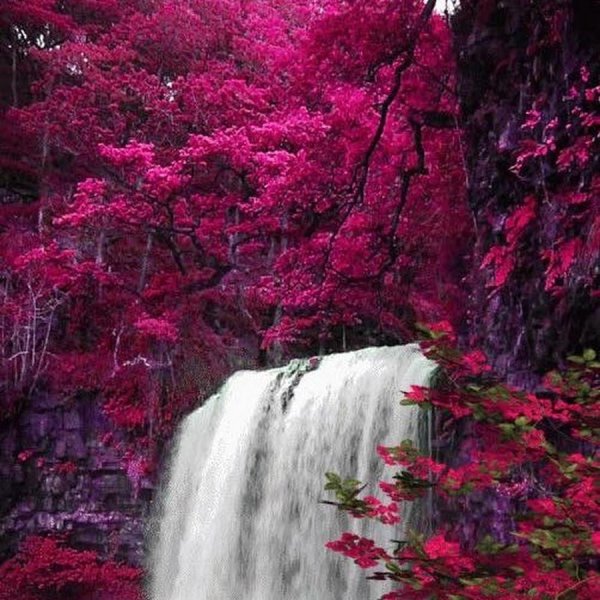 beautiful waterfall
