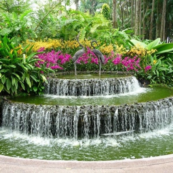 singapore botanic gardens