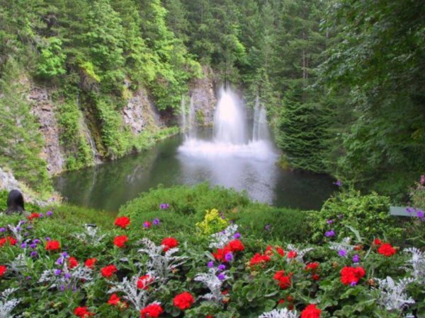 butchart gardens канада