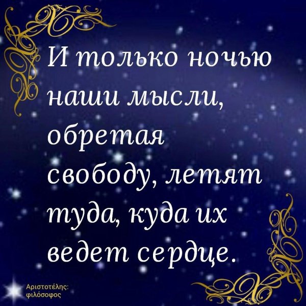 цитата про ночь