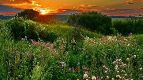 рассвет на природе