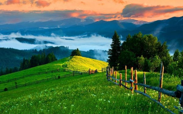 карпаты буковина