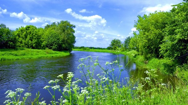 речка реченька река