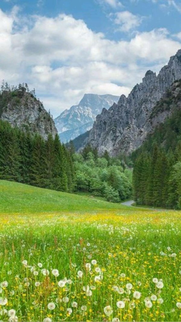 словения долина логар