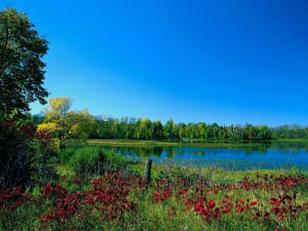 лето озеро