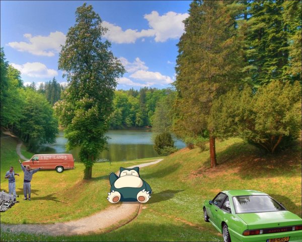 гикори дерево