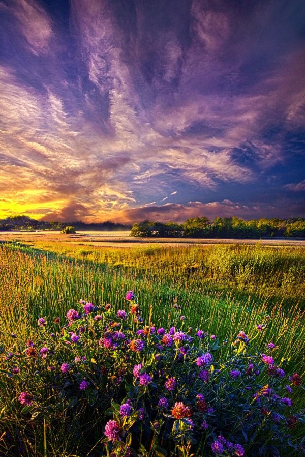 красивые рассветы