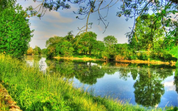 пейзаж тихая заводь