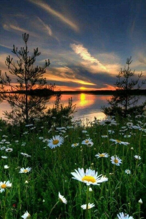 летнего вечера