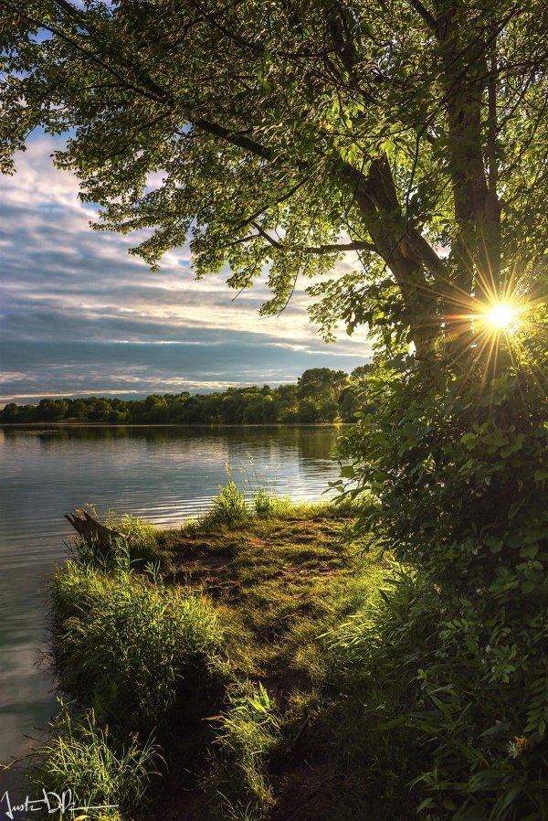 красивое лето