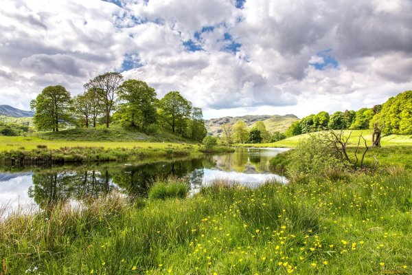 красивый пейзаж лето
