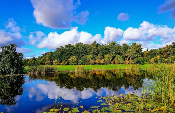 пейзажи с рекой