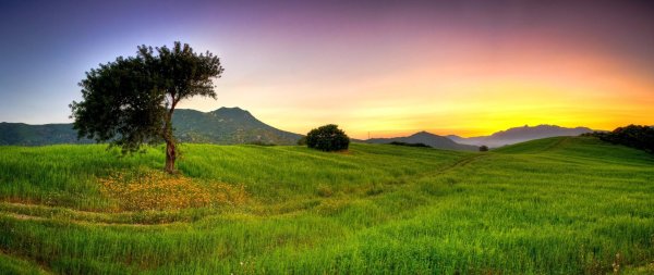 италия зеленые поля тосканы