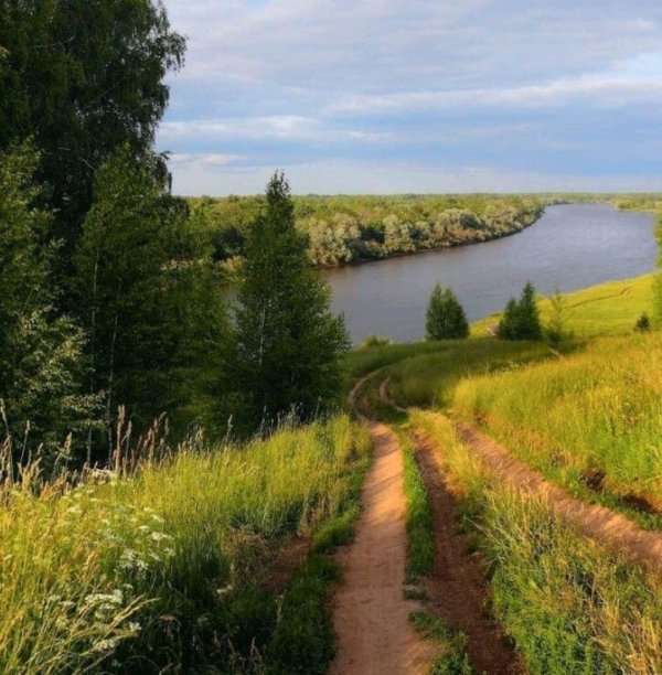 река вол ветлужский район