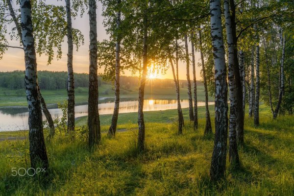 красота русской природы