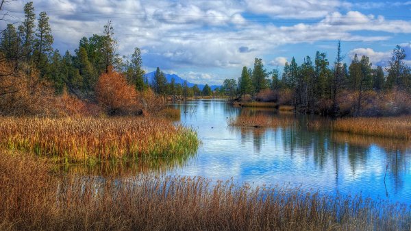 валдайское озеро
