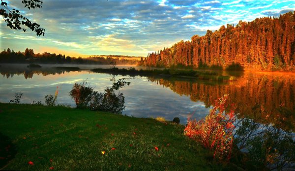 пушгоры осень