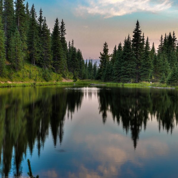 красивые лесные озера