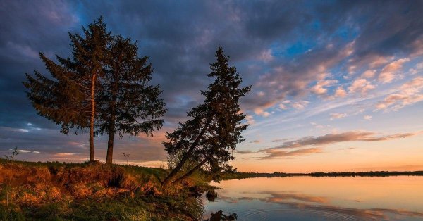 природа подмосковья вечер