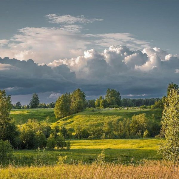среднерусский пейзаж
