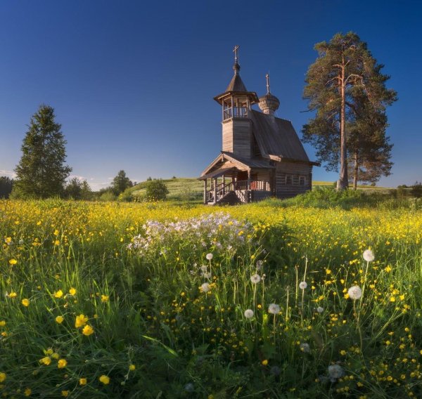 кенозерский национальный парк