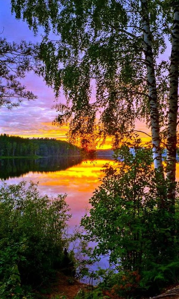 красота русской природы