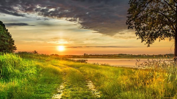 рассвет природа