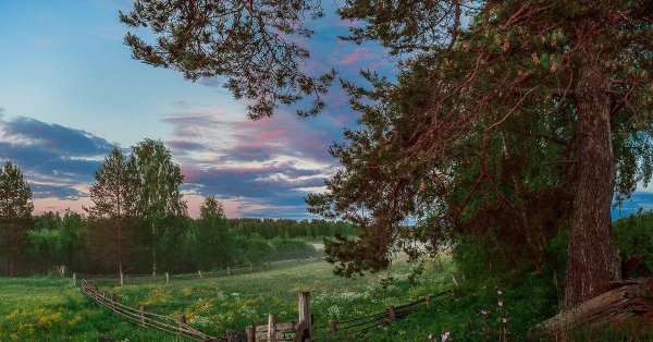 даниил коржонов кенозеро