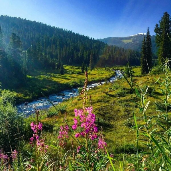 горная шория кузнецкий алатау