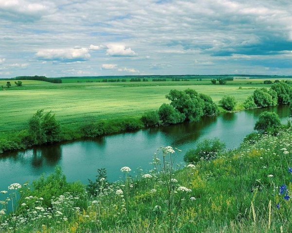 речка олым липецкая область