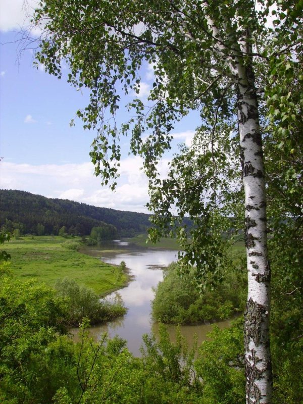 за тихой рекою в березовой роще