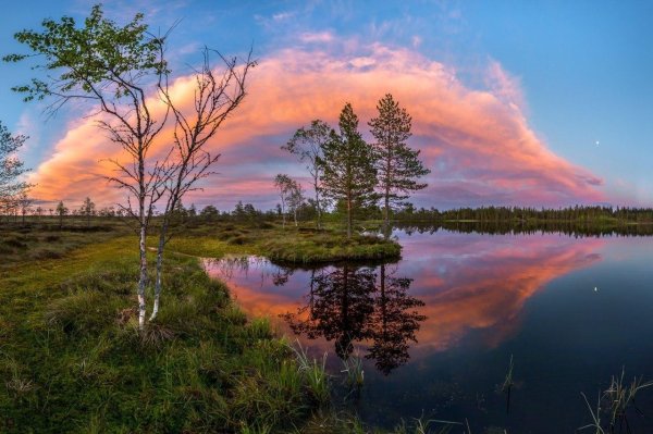 федор лашков ленинградская область