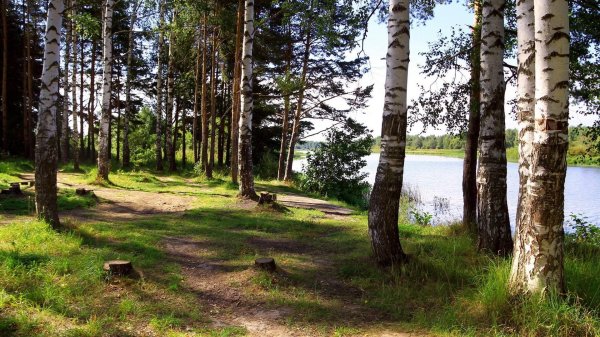 весьегонск рыбинское водохранилище