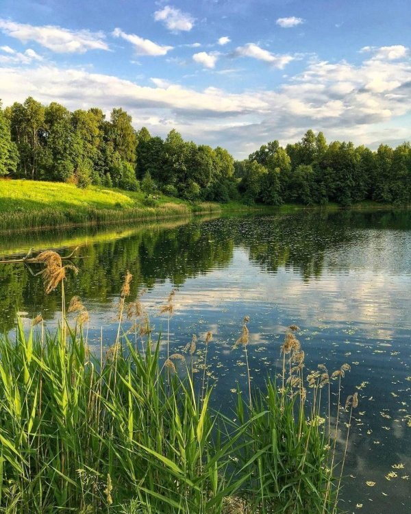 пейзаж лето