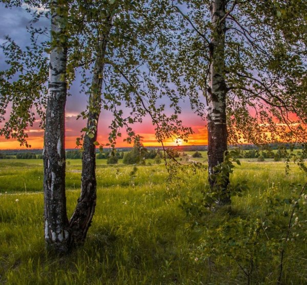 красота русской природы