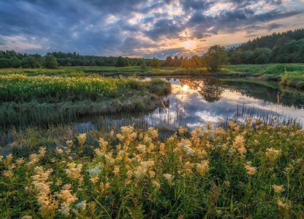 река солоница