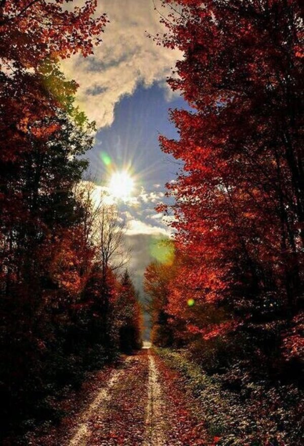 осенние пейзажи