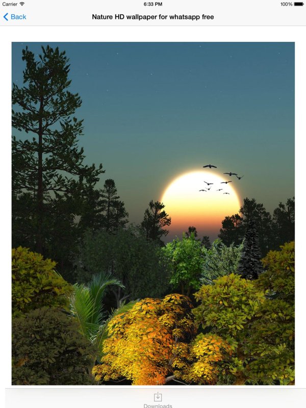 осенний закат