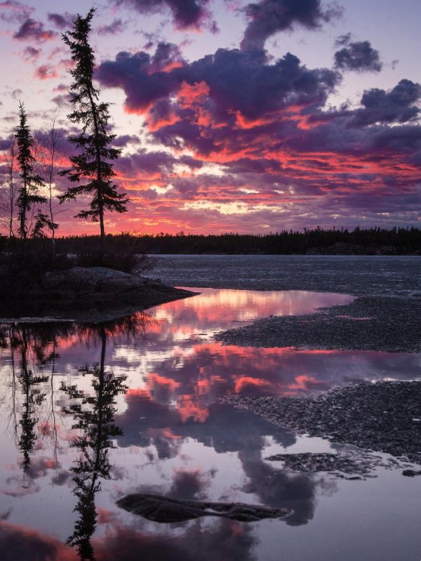 новый уренгой тундра