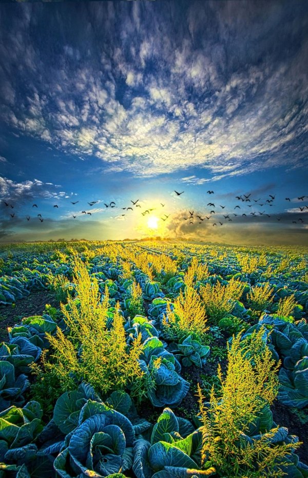 пейзажи красивые