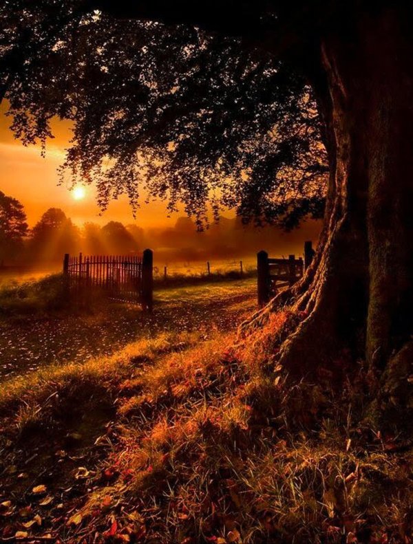 осень закат