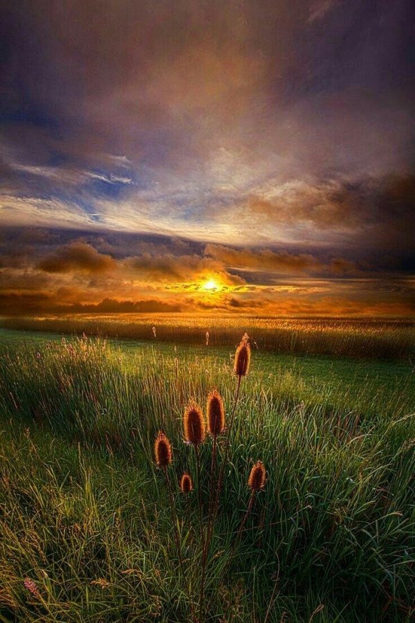 пейзажи красивые